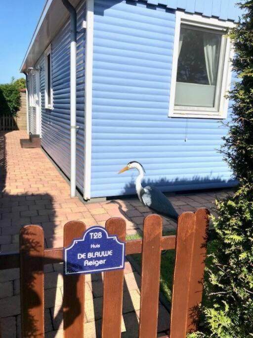 Ferienhaus De Blauwe Reiger Ferienpark Vislust Ijsselmeer Wervershoof 외부 사진